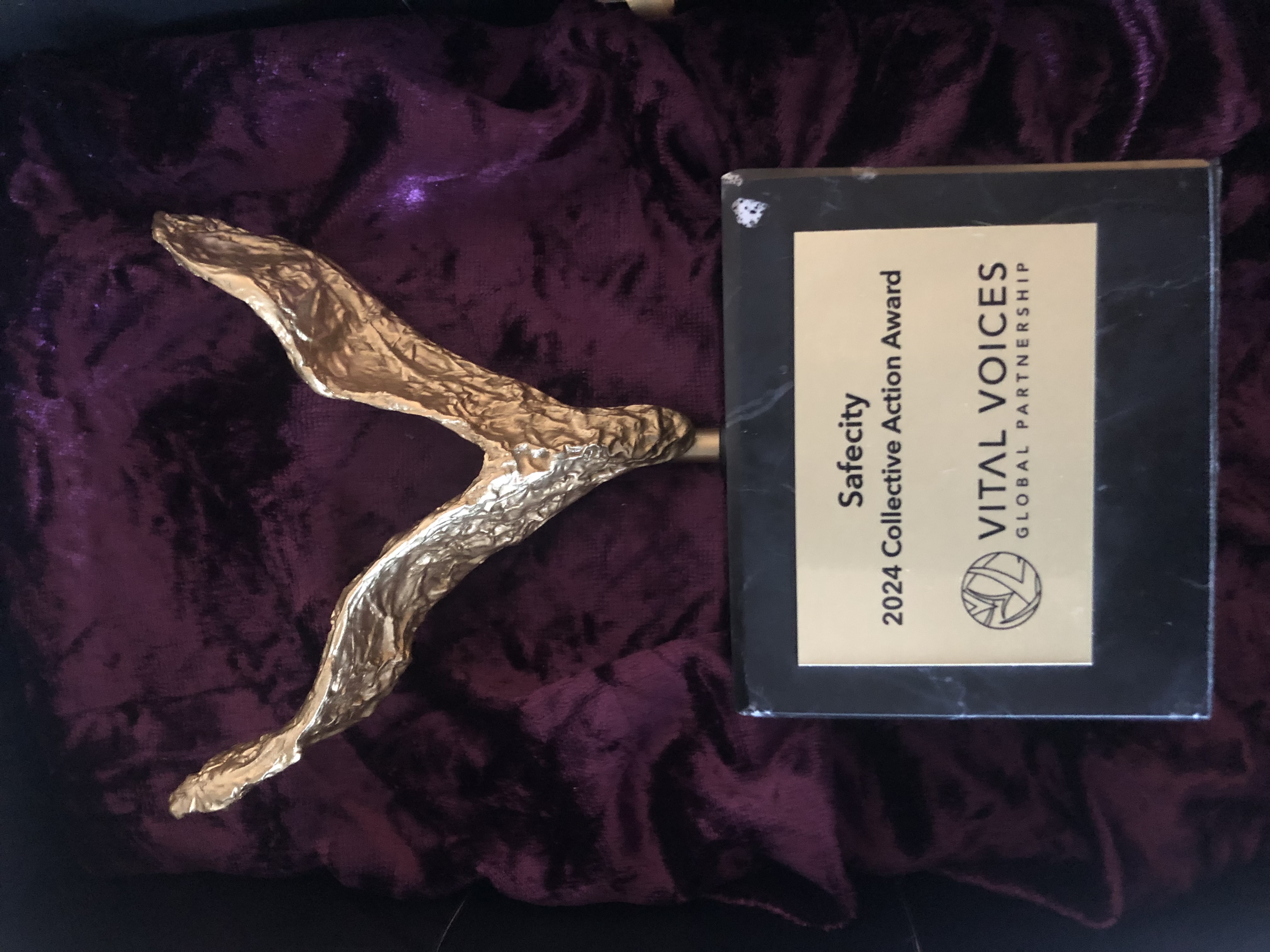 Vital Voices 2024 Collective Action Award